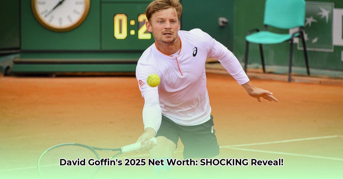 david-goffin-net-worth